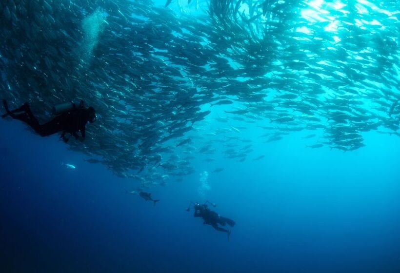 酒店 Four Seasons Resort Los Cabos