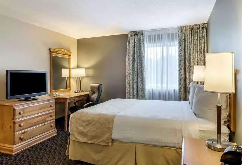 בית מלון כפרי Clarion Inn Seekonk   Providence