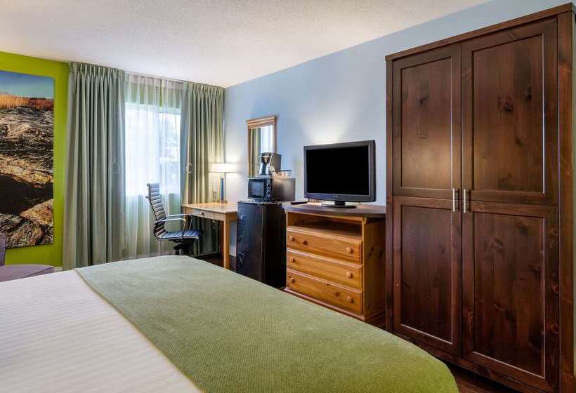 Otel Clarion Inn Seekonk Providence