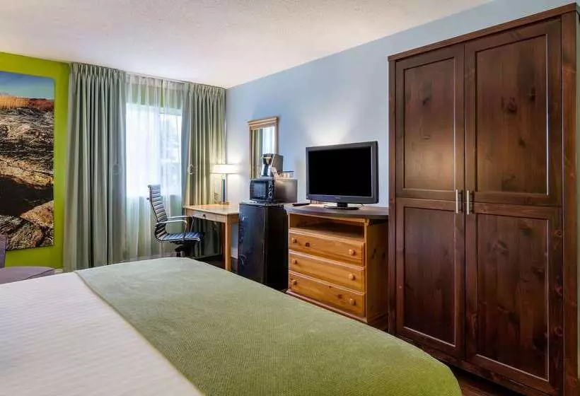 בית מלון כפרי Clarion Inn Seekonk   Providence