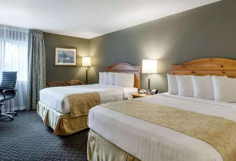 בית מלון כפרי Clarion Inn Seekonk   Providence