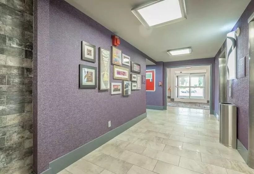 District 3 Hotel, Ascend Hotel Collection