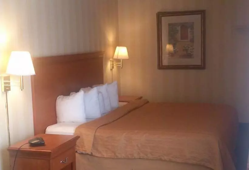 בית מלון כפרי Budget Inn