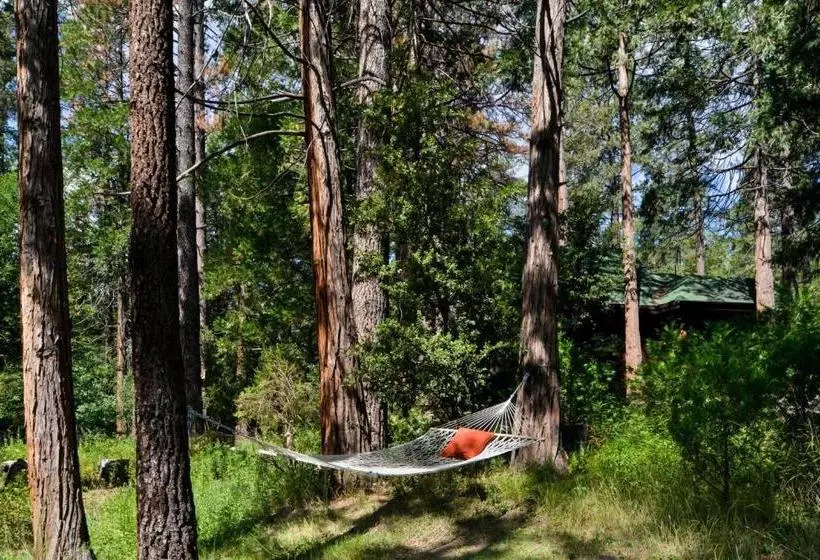 هتل Quiet Creek Inn