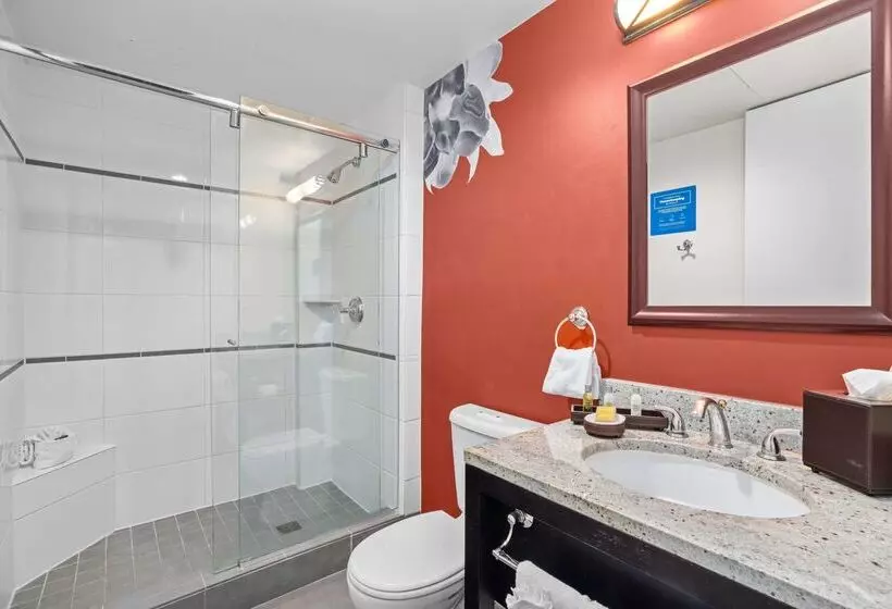 호텔 The Emily Morgan San Antonio A Doubletree By Hilton