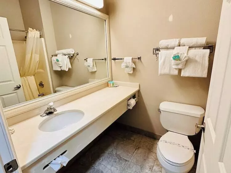 호텔 Coratel Inn And Suites By Jasper Ocean Shores