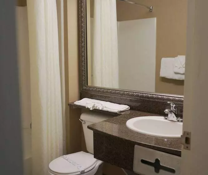 호텔 Coratel Inn And Suites By Jasper Ocean Shores