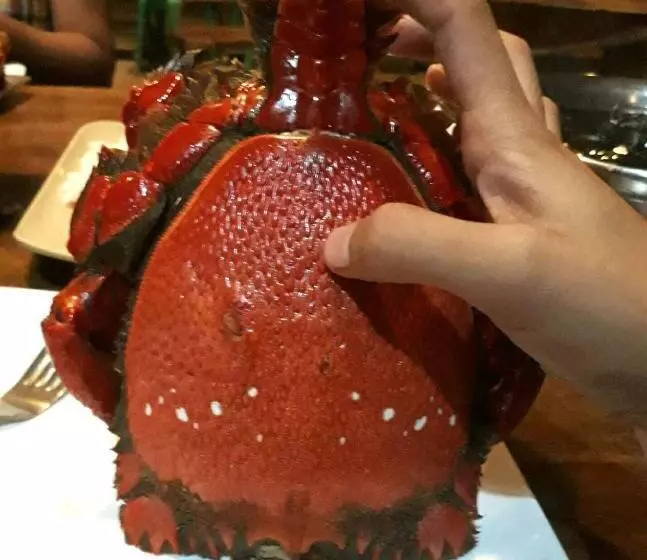 Blue Lagoon Inn And Restaurant, Pagudpud