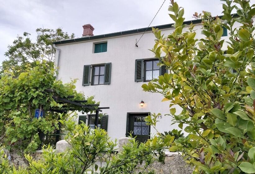 بنسيون Rooms Viskic