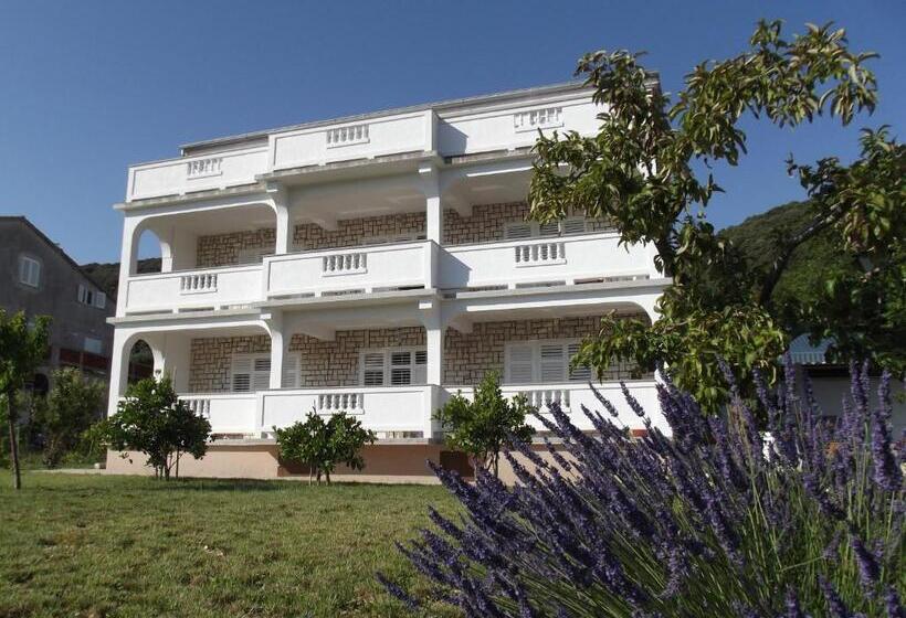 بنسيون Rooms Viskic