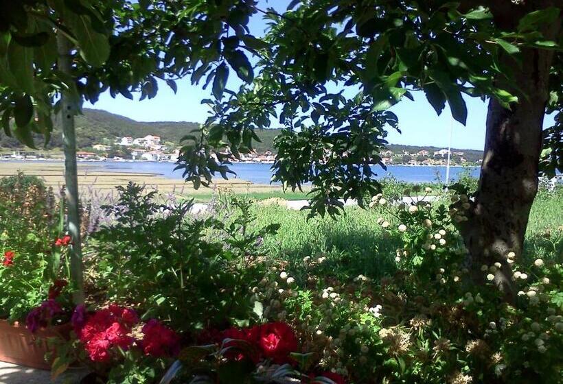 بنسيون Rooms Viskic