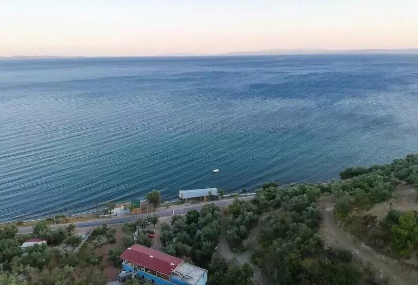 Assos Yali Butik Otel Restaurant