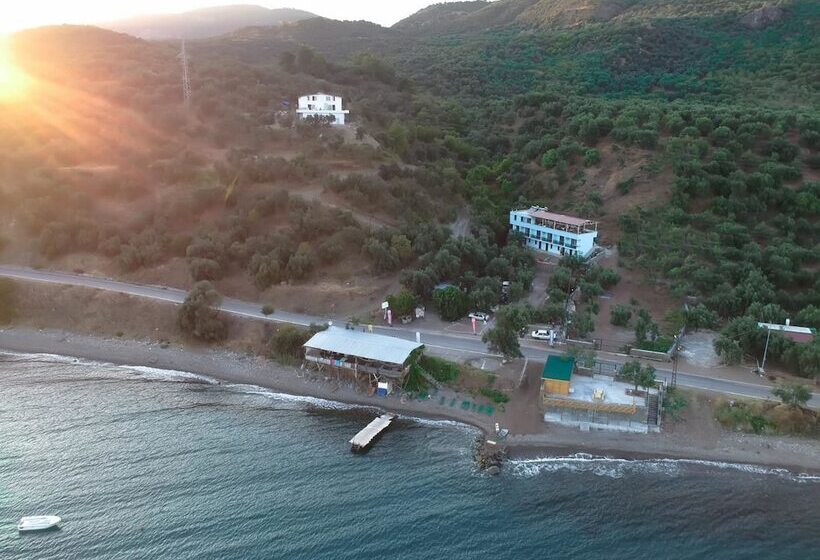 Assos Yali Butik Otel Restaurant