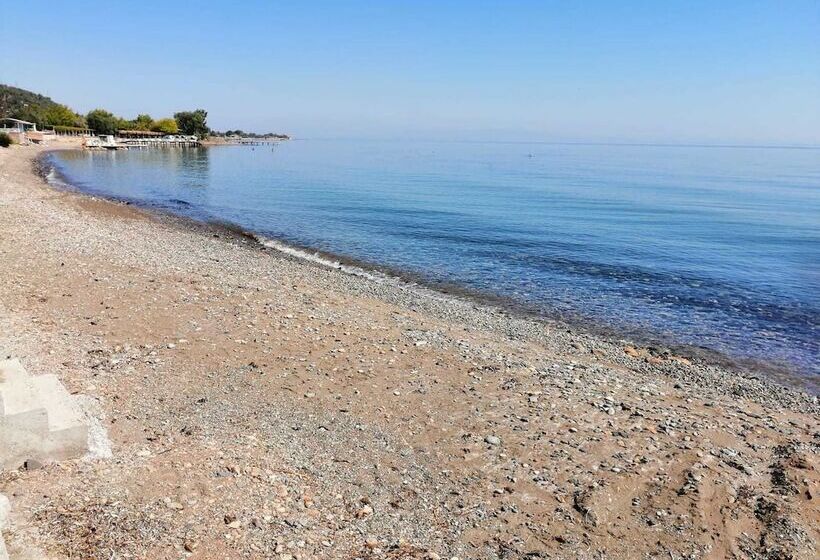 Assos Yali Butik Otel Restaurant