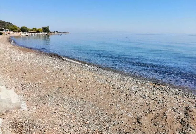 Assos Yali Butik Otel Restaurant