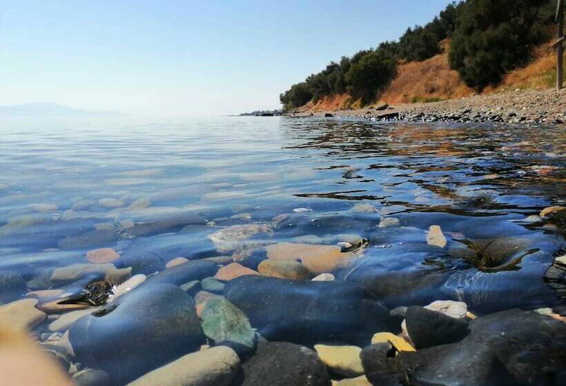 Assos Yali Butik Otel Restaurant