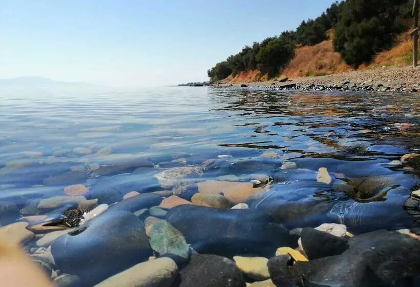 Assos Yali Butik Otel Restaurant