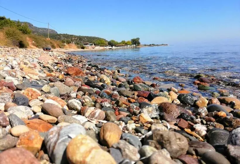 Assos Yali Butik Otel Restaurant