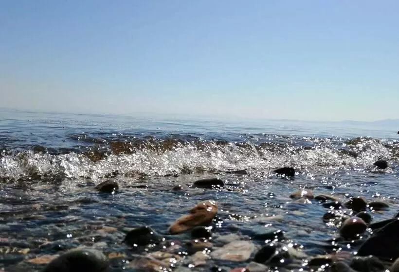 Assos Yali Butik Otel Restaurant