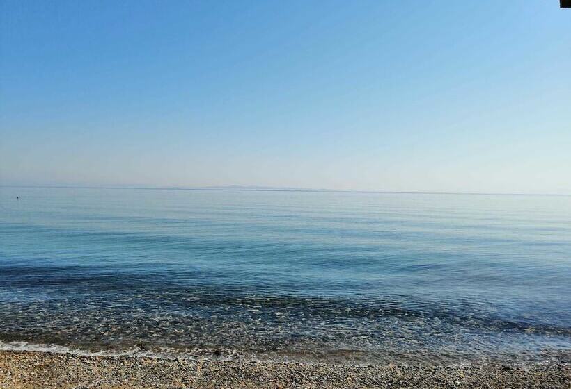 Assos Yali Butik Otel Restaurant