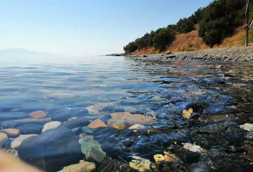 Assos Yali Butik Otel Restaurant