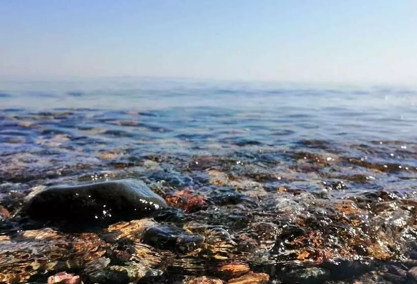 Assos Yali Butik Otel Restaurant