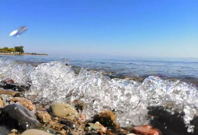 Assos Yali Butik Otel Restaurant