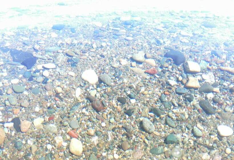 Assos Yali Butik Otel Restaurant