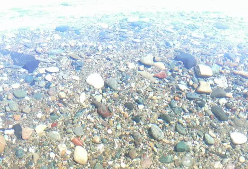 Assos Yali Butik Otel Restaurant