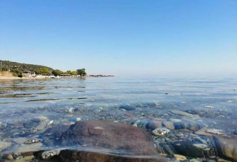 Assos Yali Butik Otel Restaurant