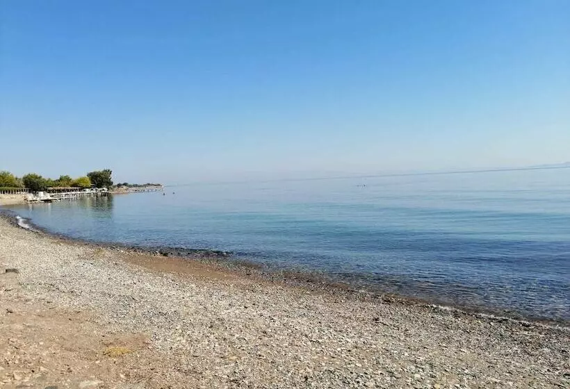 Assos Yali Butik Otel Restaurant