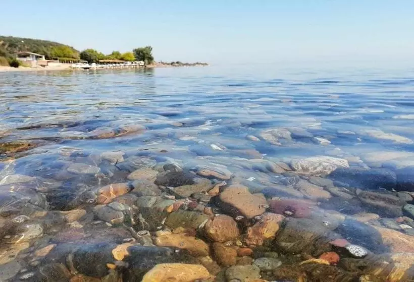 Assos Yali Butik Otel Restaurant