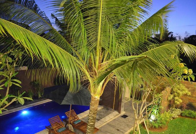 בית מלון כפרי Dabumito Guest House