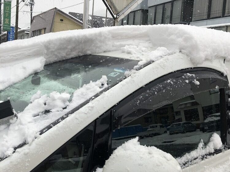 Пансион Snowhouse Memorie Hotel 石打丸山