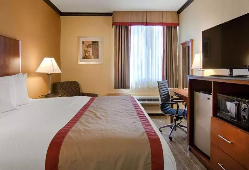 ホテル Best Western Ft. Lauderdale I95 Inn