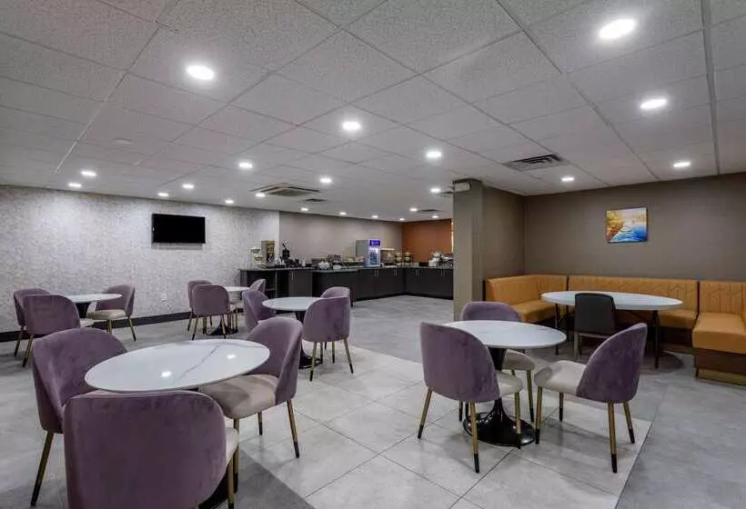 호텔 Comfort Inn & Suites Nashville Downtown   Stadium