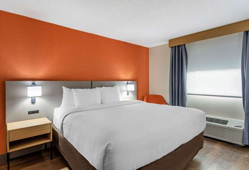 בית מלון כפרי Comfort Inn & Suites Nashville Downtown Stadium