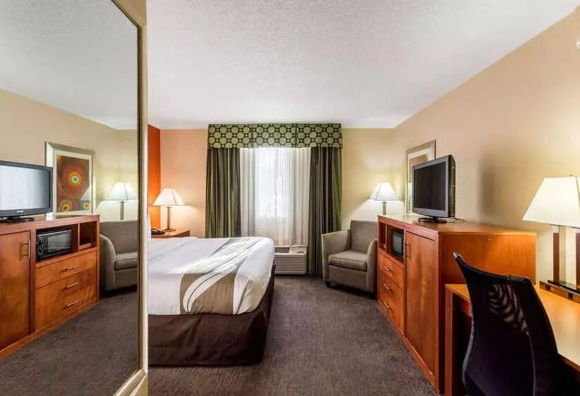 호텔 Comfort Inn & Suites Nashville Downtown   Stadium