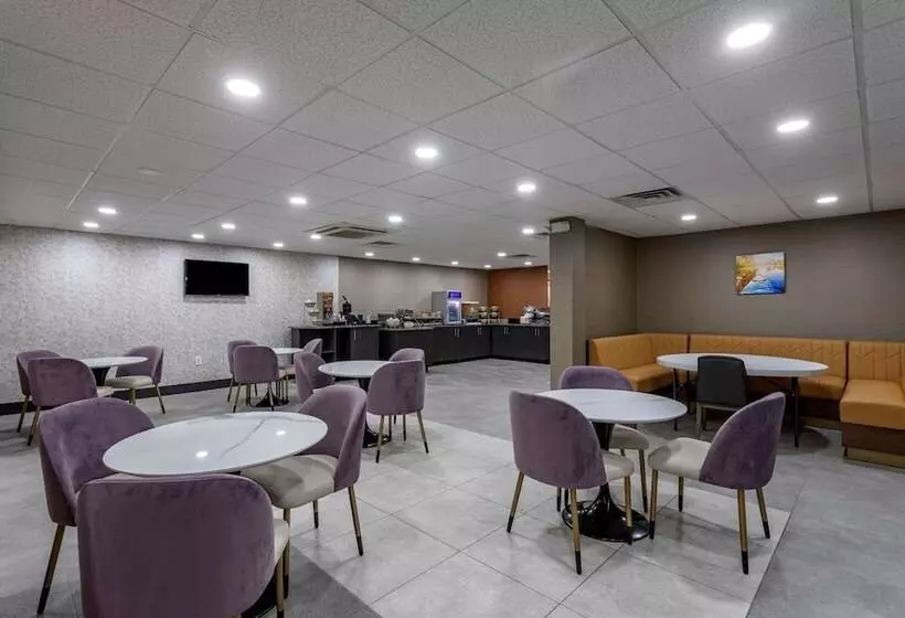 호텔 Comfort Inn & Suites Nashville Downtown   Stadium