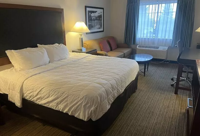 Otel Quality Inn Denver Tech Center