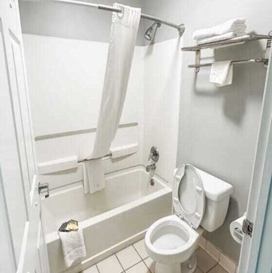 בית מלון כפרי Executive Inn Ridgeway I 77