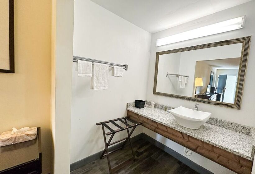 בית מלון כפרי Executive Inn Ridgeway I 77