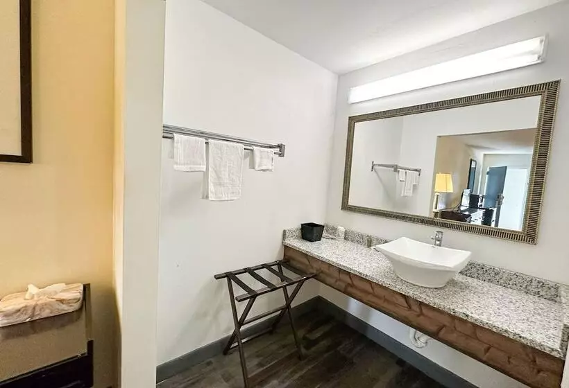 ホテル Executive Inn Ridgeway I 77