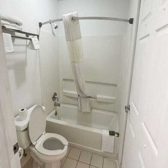 בית מלון כפרי Executive Inn Ridgeway I 77