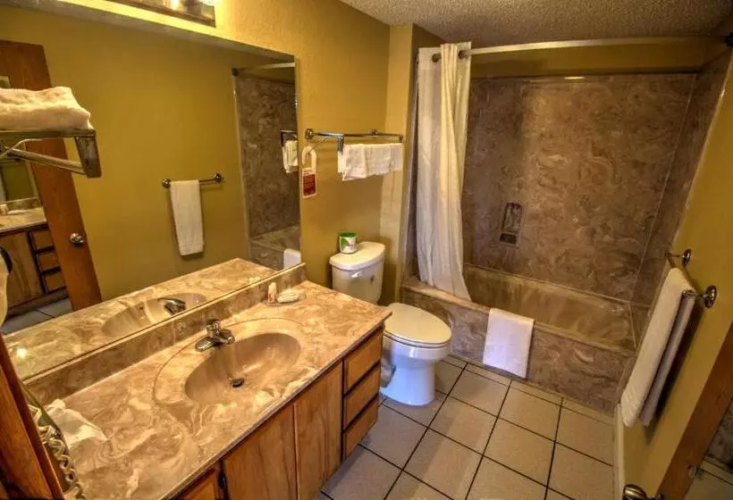 Отель South Padre Island Inn