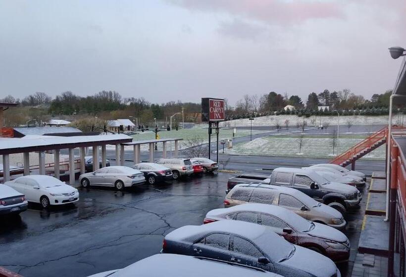 فندق Red Carpet Inn  Blacksburg