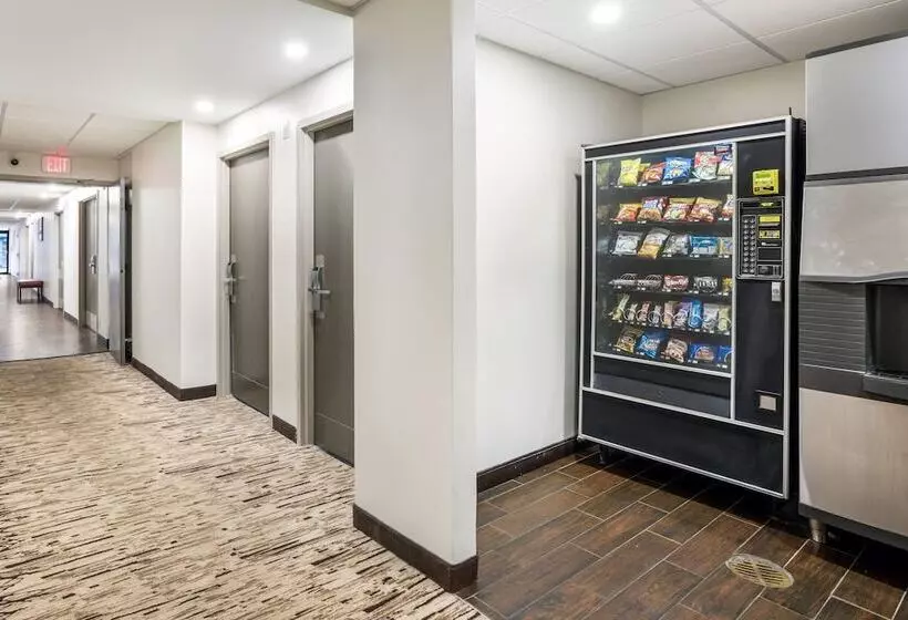 ホテル Red Roof Inn Plus+ Boston   Woburn/ Burlington