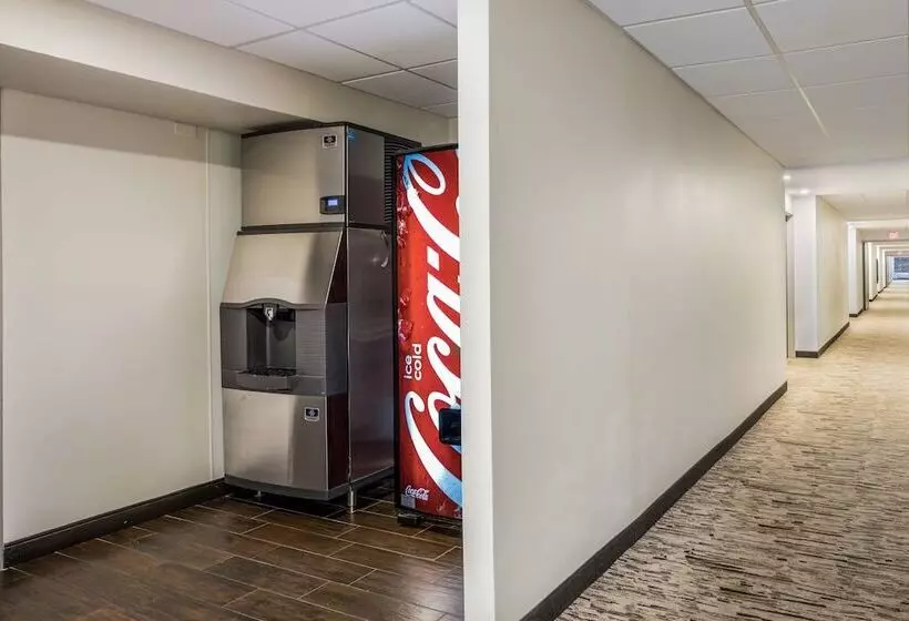 ホテル Red Roof Inn Plus+ Boston   Woburn/ Burlington