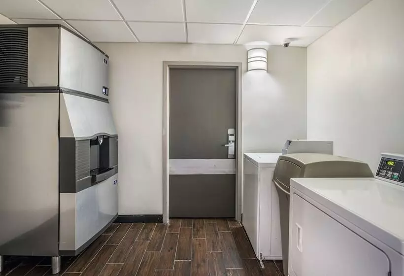 ホテル Red Roof Inn Plus+ Boston   Woburn/ Burlington