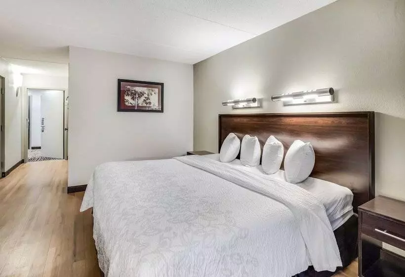 ホテル Red Roof Inn Plus+ Boston   Woburn/ Burlington